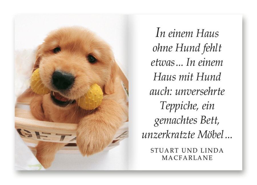 Ich liebe Hunde